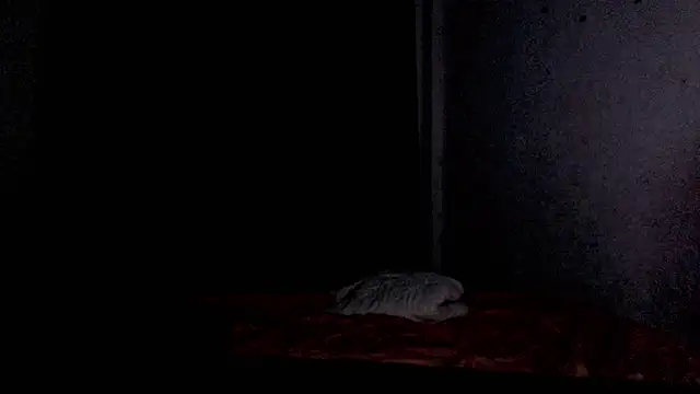 BrendaTaki webcam