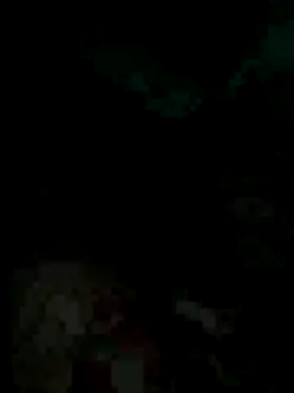 Pat2005a webcam
