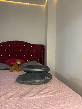 Niaoficial webcam