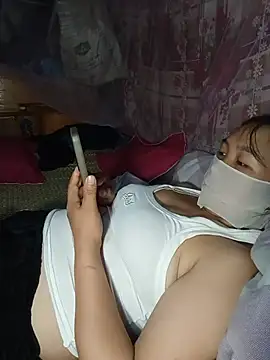 Hiha-nn webcam