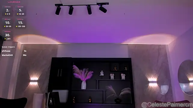 CelestePalmer_ webcam