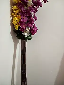 Tanha18 webcam