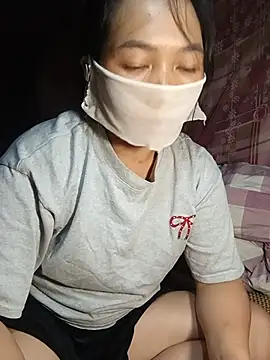Hiha-nn webcam