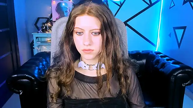 LidaDarknet webcam