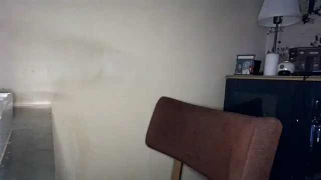 Hgay6935 webcam