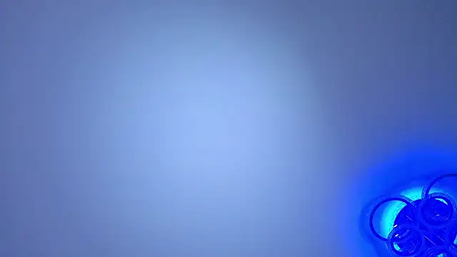 PerryKitty webcam