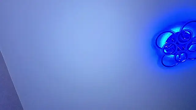 PerryKitty webcam