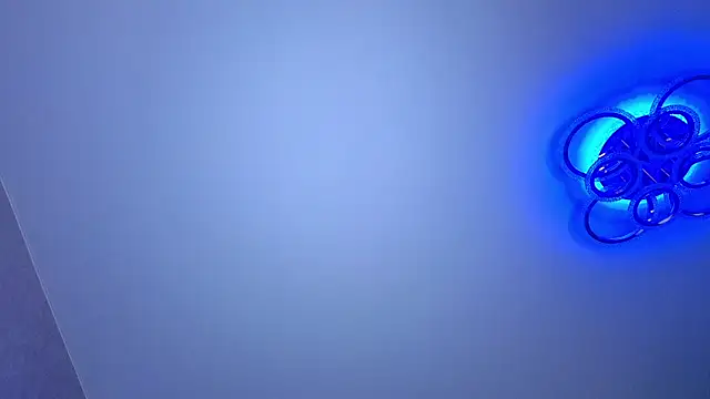 PerryKitty webcam