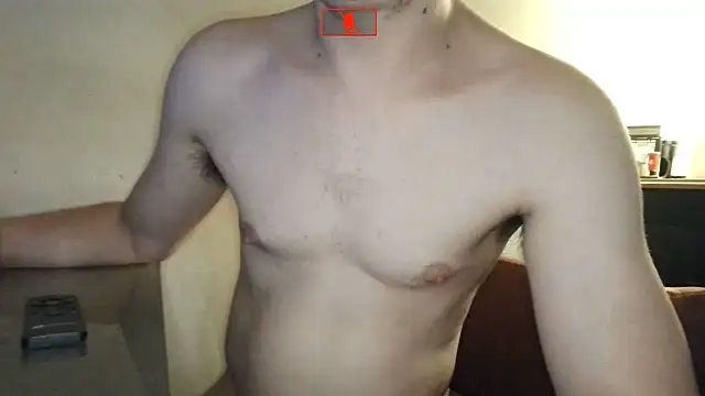 Hgay6935 webcam