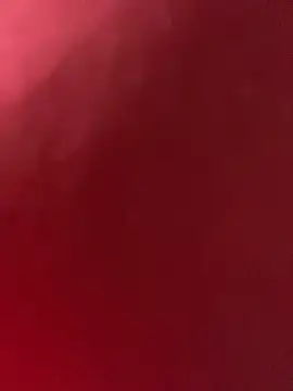 The_Nails_Sexx