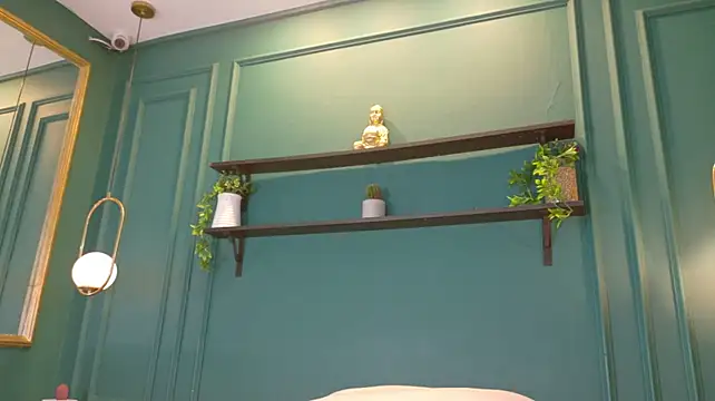 ale_cam webcam