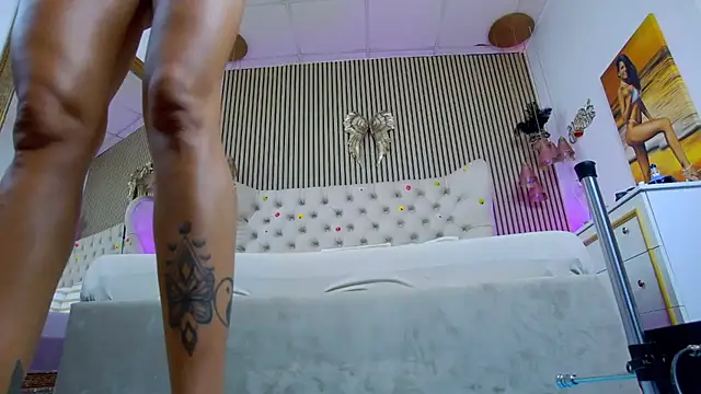 PlayfulShow webcam