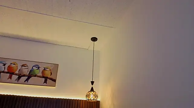 valeriavg webcam