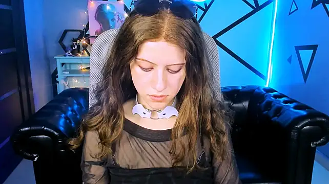 LidaDarknet webcam