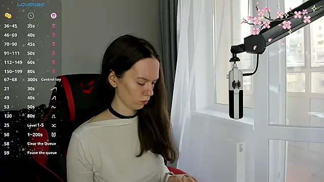 Vulgar_Tamer
