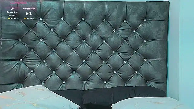 ShallomMuse webcam