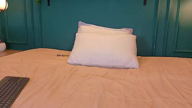 ale_cam webcam