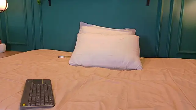 ale_cam webcam