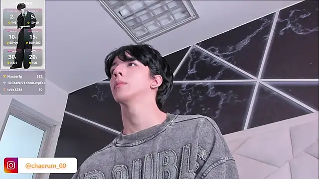 AerumChae webcam