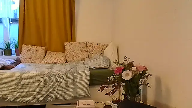 belgianshantie webcam
