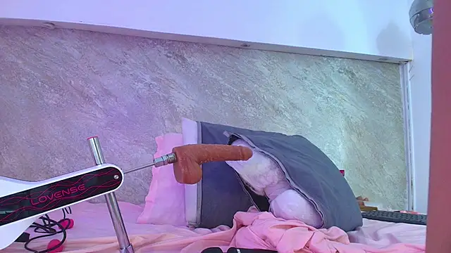 Dixie_grey1 webcam