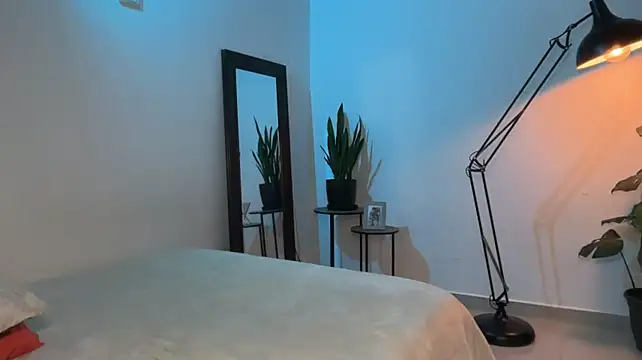 tevnoh webcam