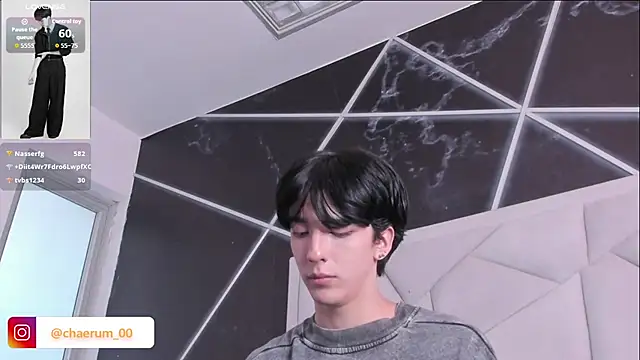 AerumChae webcam