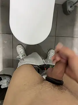 Turkishleo