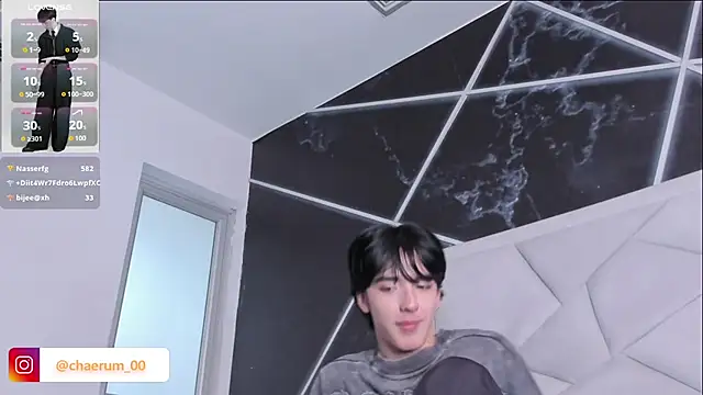 AerumChae webcam