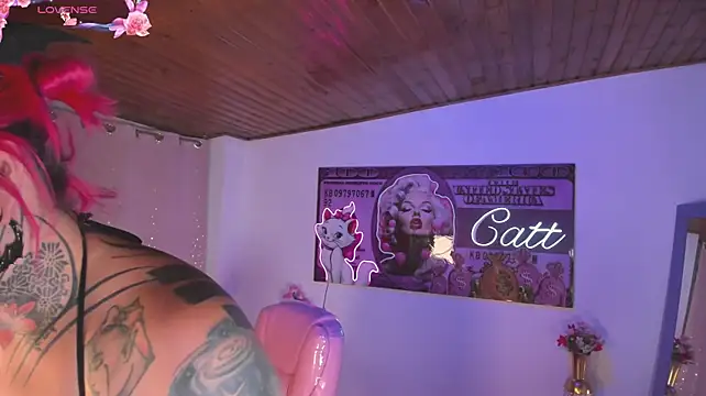 catt_monroe webcam