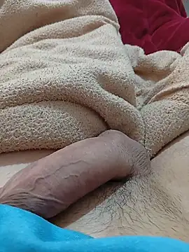 bemmagrinho36 webcam