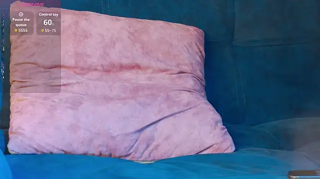 maxi_max0 webcam