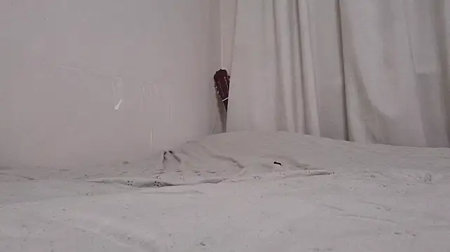 BloomMoon webcam