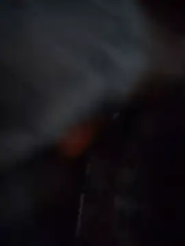 SEXY_LION7 webcam
