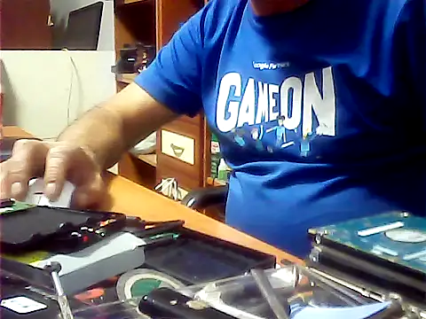 zormen355 webcam