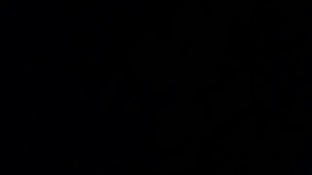 Damian64420 webcam