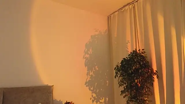 _Selestia_ webcam