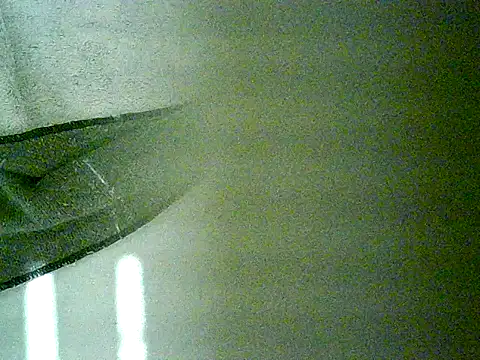 michel1520 webcam