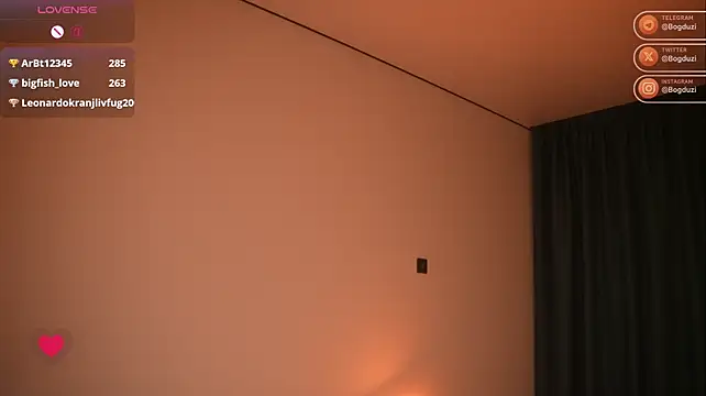 Bogduzi webcam