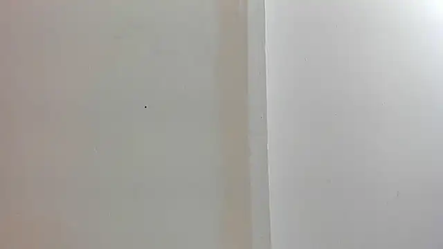 sofi_linares1 webcam