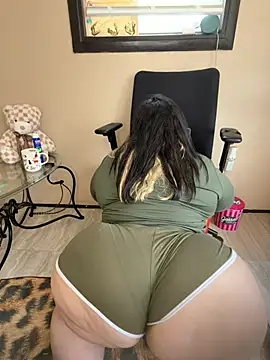 Tillymarie webcam