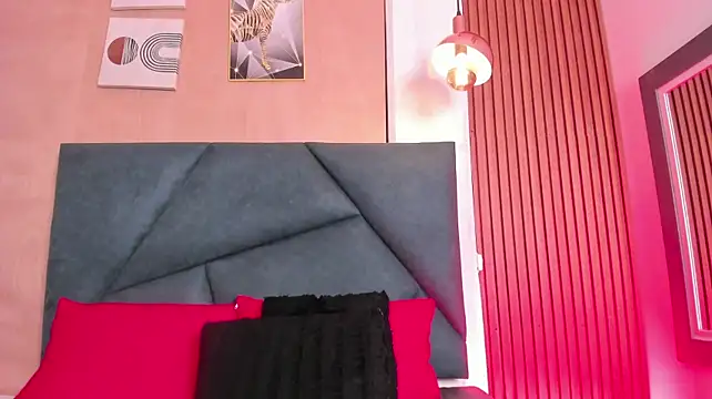 LaurentFerrer webcam