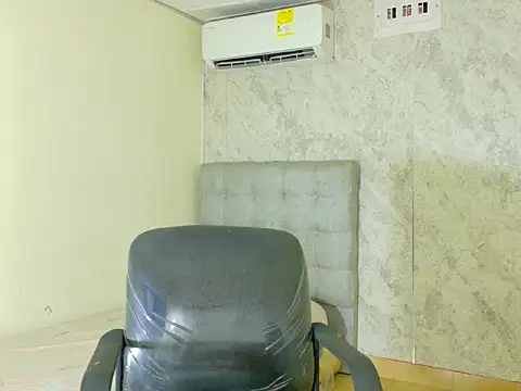 alexa_0_ webcam