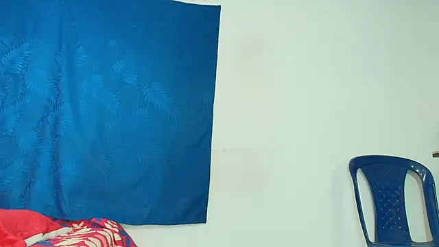 dominant_hipss webcam