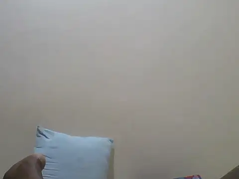 Swt_pie webcam