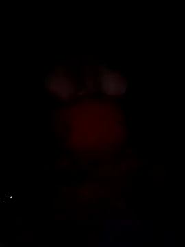 Lona2525 webcam