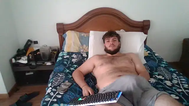 lipzard webcam