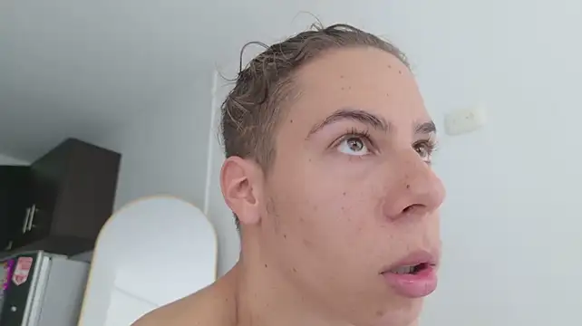 grey___27 webcam