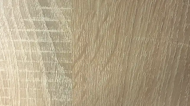NoFace_Model webcam