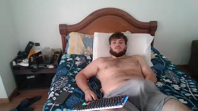 lipzard webcam
